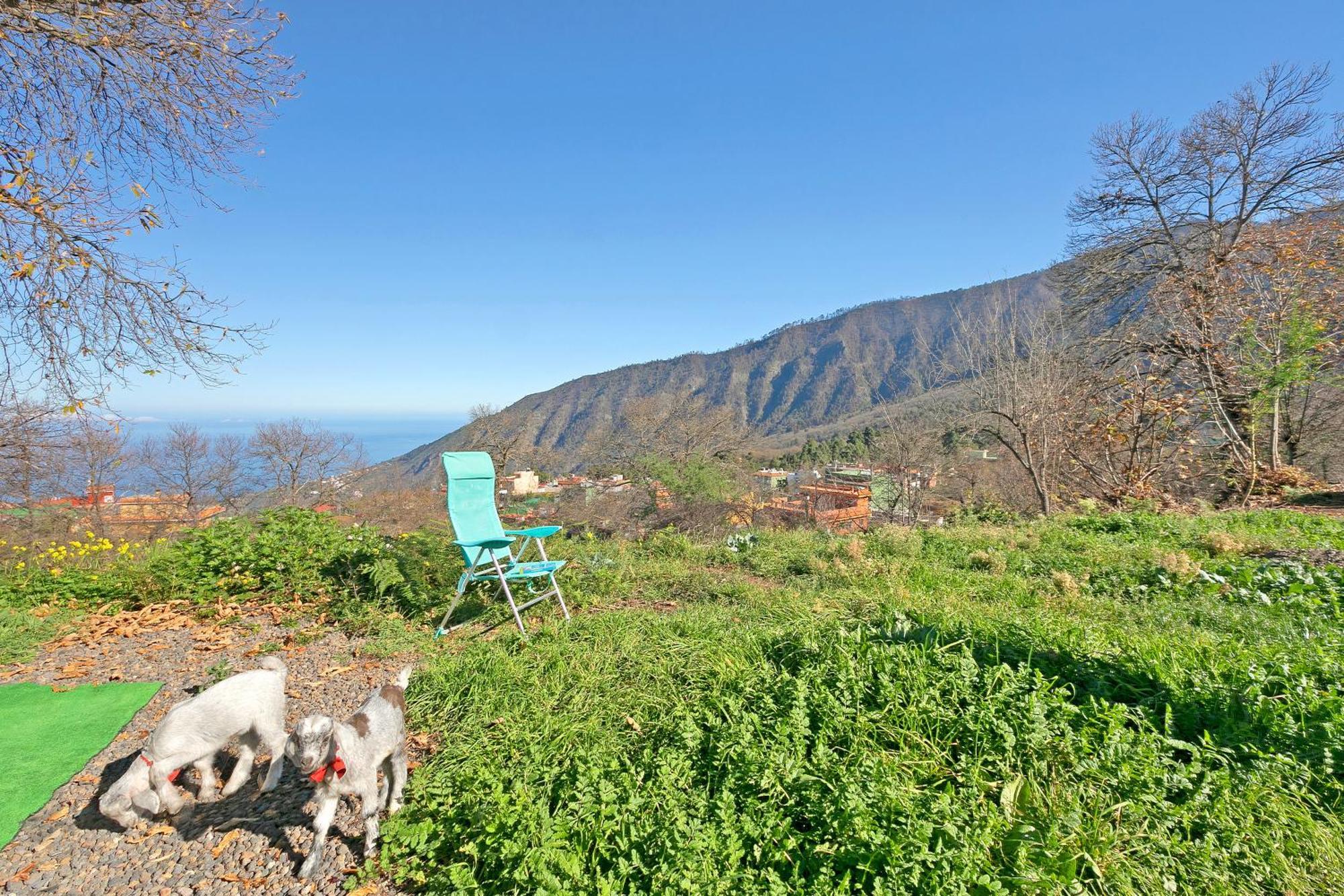 Aguamansa Relax Villa La Orotava Ngoại thất bức ảnh